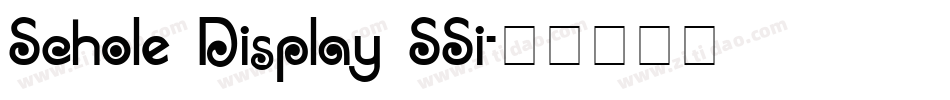 Schole Display SSi字体转换